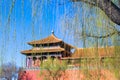 The willows swayed before the Imperial Palace in spring Royalty Free Stock Photo