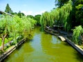 Willows by West Lake Cultural Landscape of Hangzhou Royalty Free Stock Photo