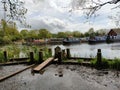 Willowtree marina docks Royalty Free Stock Photo