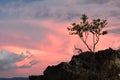 Willy Rock detail at dusk. White beach. Boracay Island. Aklan. Western Visayas. Philippines