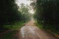 Wilpattu National Park, Sri Lanka Road dawn