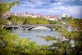 Wilson bridge view between trees lyon france