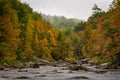 Wilson Creek Autumn 1