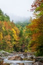 Wilson Creek Autumn 2 Royalty Free Stock Photo