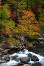 Wilson Creek Autumn 10 Royalty Free Stock Photo