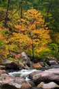 Wilson Creek Autumn 11 Royalty Free Stock Photo