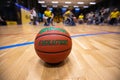 WILSON Evolution Indoor Game Basketball on court background