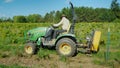 Wilson, NY, USA, September 2018: A farmer works on a small tractor, uproots weeds near the vineyard.