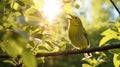 WilsonÃ¢â¬â¢s Warbler singing joyfully on a sunlit branch. AI Generative