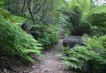 Wilsons Promontory Track Royalty Free Stock Photo