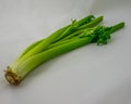 Wilted Celery Stalk Royalty Free Stock Photo