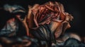 Wilted Red Rose, Made with Generative AI