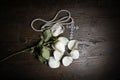 A wilted rose with falling petals and a crucifix on a peal necklace on a distressed wood tabletop Royalty Free Stock Photo