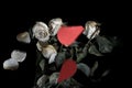 Wilted rose flowers and torn in half a paper heart, the concept of a broken heart