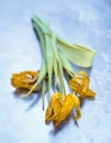 Wilted yellow tulips on blue steel texture. Conceptual beautiful aging Royalty Free Stock Photo