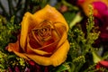 Wilting Fall Colored Rose in a drying fall Bouquet