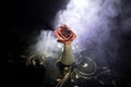 A wilting rose signifies lost love, divorce, or a bad relationship, dead rose on dark background with smoke Royalty Free Stock Photo