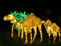 Wiltshire, UK - December 15 2018: The Festival of Light at Longleat depicting a story of 2 young travellers travelling through