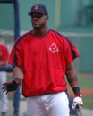 Wily Mo Pena, Boston Red Sox