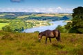 Wimbleball Lake Exmoor National Park Somerset