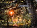 Wimbledon-Wimbledon Common Sunset