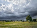 Wimbledon-Wimbledon Common