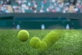 Wimbledon tennis grass court