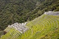 Winay Wayna terraces Royalty Free Stock Photo