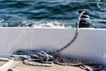Winch on a sailing yacht Royalty Free Stock Photo