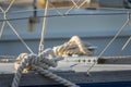 winch rope cleat details on a sail boat at sea Royalty Free Stock Photo