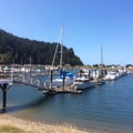 Winchester Bay Marina at the Oregon Coast