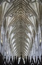 Winchester Cathedral ceiling Royalty Free Stock Photo