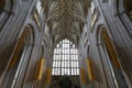 Winchester Cathedral vaulting