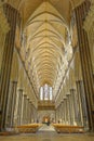 Winchester Cathedral vaulting and seating. long view. Majestic architecture