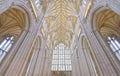 Winchester cathedral vaulting