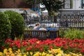 Three middle aged women sat on a wooden bench in the park surrounded by flowers