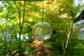 Wind Bells, ringing by wind Royalty Free Stock Photo