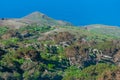 Wind bent juniper trees at El Sabinar at El Hierro island in Canary islands, Spain