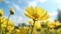 Wind in the Bloom Photograph the yellow flower swaying gently in the breeze. Emphasize the movement of the petals and the dynamic