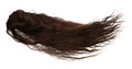 Wind blow Long straight Wig hair style fly fall. Brown wavy woman wig hair float in mid air. Straight brown black wig hair wind Royalty Free Stock Photo