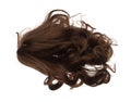 Wind blow Long wavy curl Wig hair style fly fall. Brown woman wig hair float in mid air. Curly wavy brown wig hair wind blow cloud