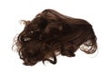 Wind blow Long wavy curl Wig hair style fly fall. Brown woman wig hair float in mid air. Curly wavy brown wig hair wind blow cloud Royalty Free Stock Photo