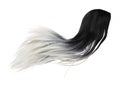 Wind blow long wavy straight Wig hair style fly fall. Mix dying black white woman wig hair float in mid air. Long straight dying Royalty Free Stock Photo