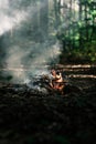 Wind is blowing on coals Royalty Free Stock Photo