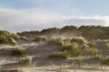 Wind blowing sand Royalty Free Stock Photo