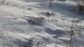 Wind blowing on the snow in the mountains in Abruzzo.