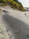 Wind-blown rippled sand texture in the sand dunes of the Baltic Sea coast, sand wave on the beach Royalty Free Stock Photo