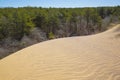 Wind-Blown Sand Dune Moving over Pine Forest Royalty Free Stock Photo