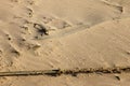 Wind blown sand