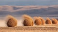 Tumbleweeds Rolling Across A Field Royalty Free Stock Photo